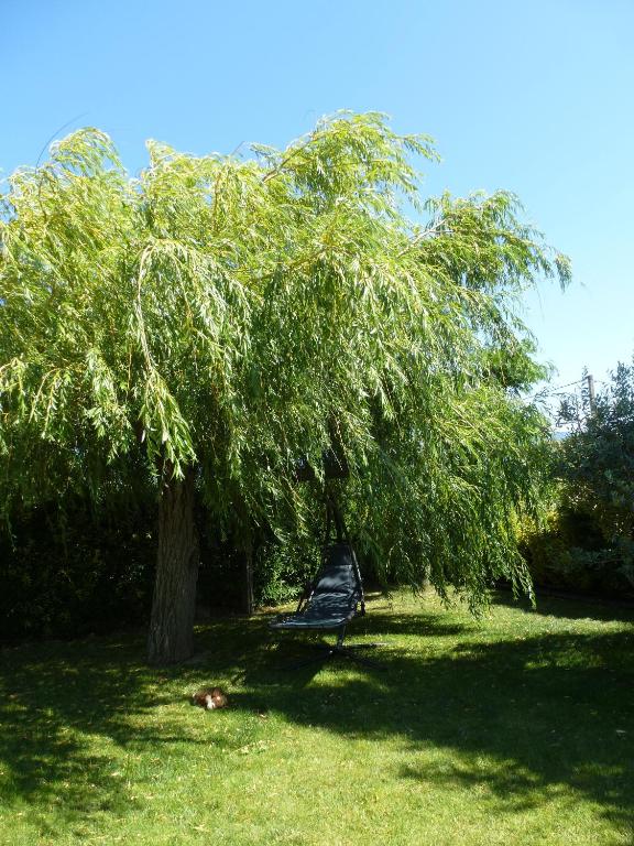 Gallery image of CHAMBRES D&#39;HÔTES CLIMATISÉES avec CUISINE d&#39;ÉTÉ &quot;VILLA GOUR du PEYROL&quot; in Buisson