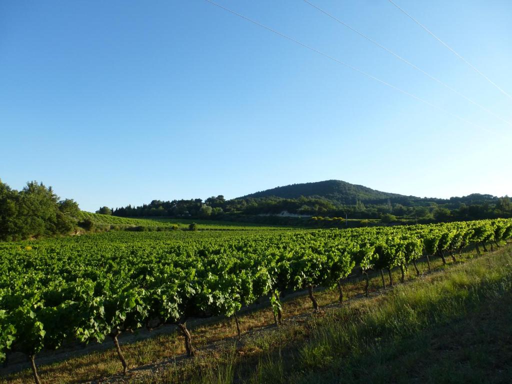 Gallery image of CHAMBRES D&#39;HÔTES CLIMATISÉES avec CUISINE d&#39;ÉTÉ &quot;VILLA GOUR du PEYROL&quot; in Buisson