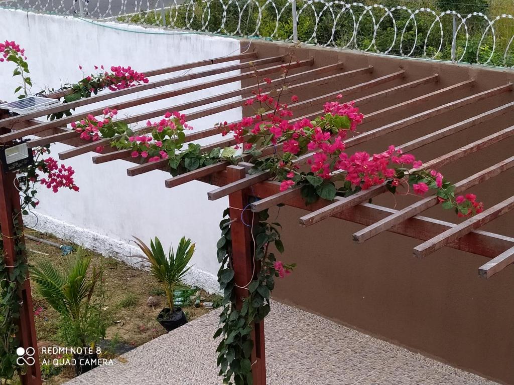  Encantos Morro Branco