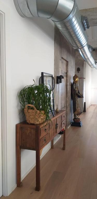 Fotografie z fotogalerie ubytování Ático Loft en frente al mar terraza vista espectacular v destinaci Alicante