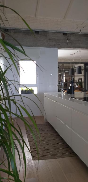 Fotografie z fotogalerie ubytování Ático Loft en frente al mar terraza vista espectacular v destinaci Alicante