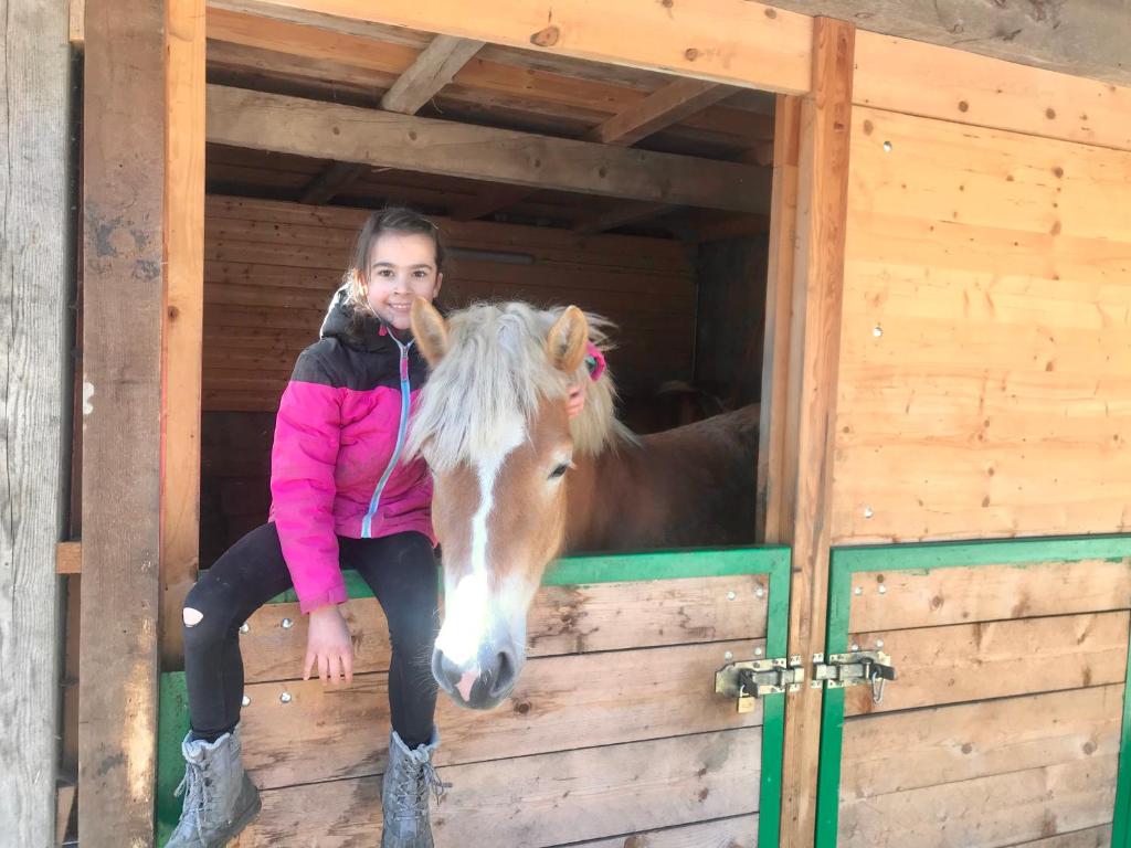 Altri animali domestici presso la locanda o nei dintorni
