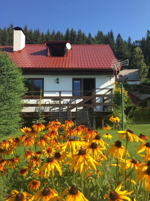 a house with a field of flowers in front of it at Chata Lipno in Lipno nad Vltavou