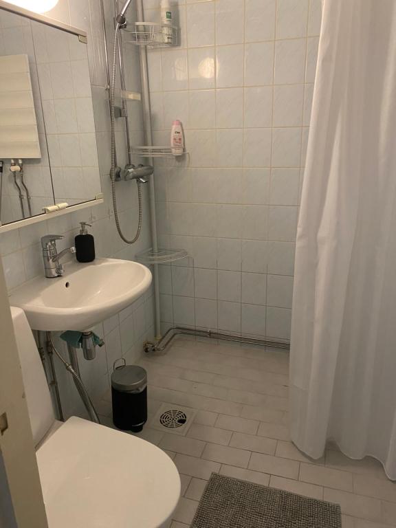 Koupelna v ubytování Apartments ”Enkeli”