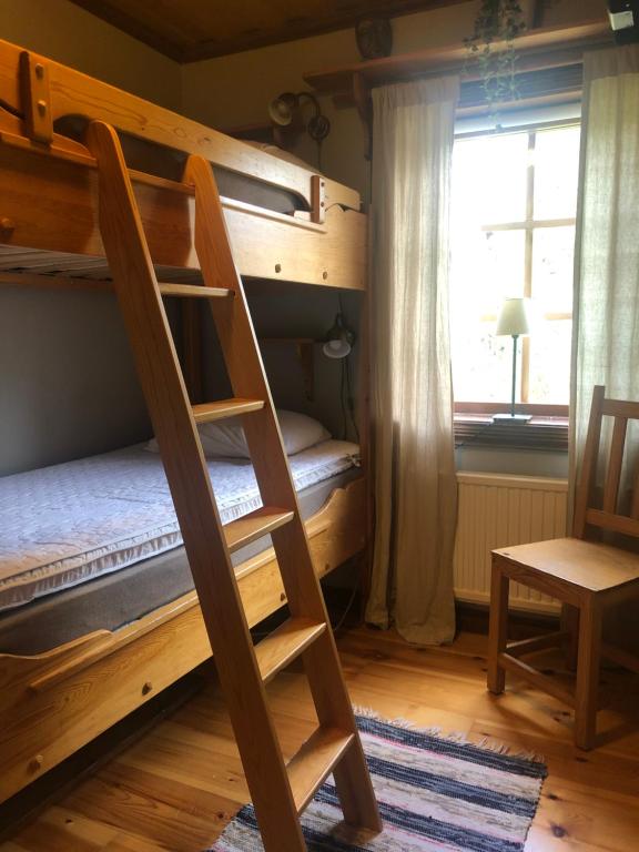a bunk bed with a ladder in a room with a window at Baggården fjällby, Messlingen in Messlingen