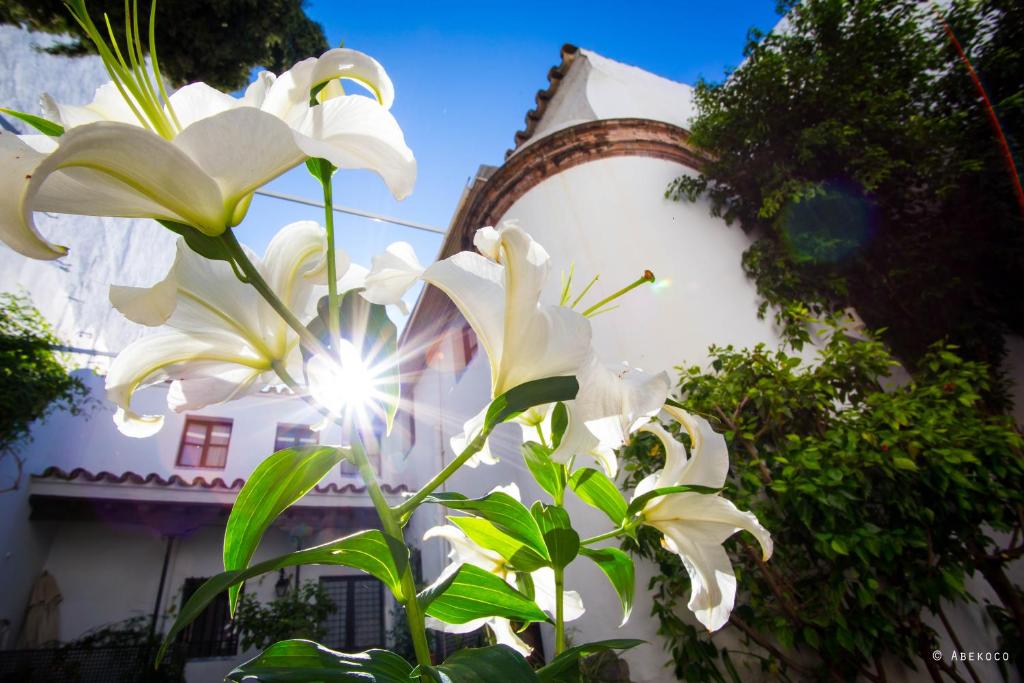 Zahrada ubytování Casa del siglo XVII