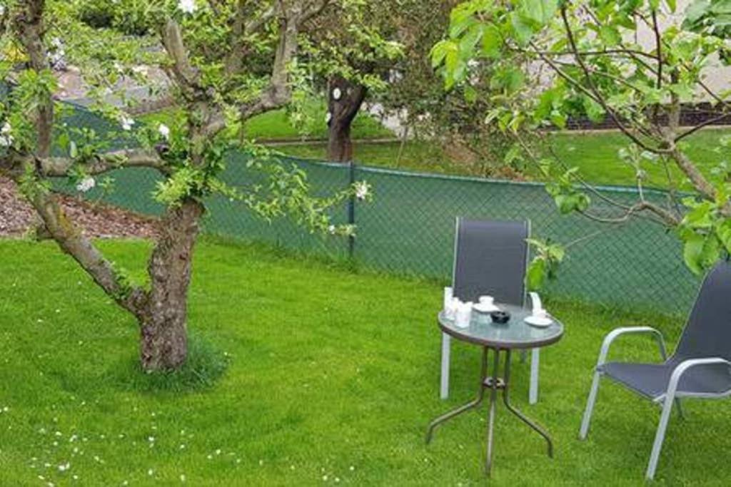 two chairs and a table next to a tree at Suite with back garden in Karlovy Vary