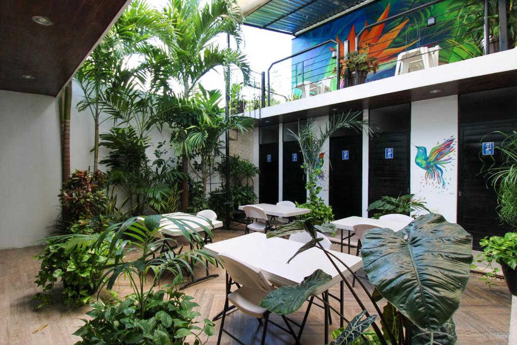 Zahrada ubytování Hostal Gayser