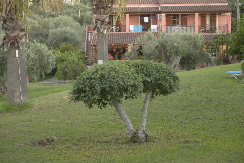 Ogród w obiekcie Stefanos Resort