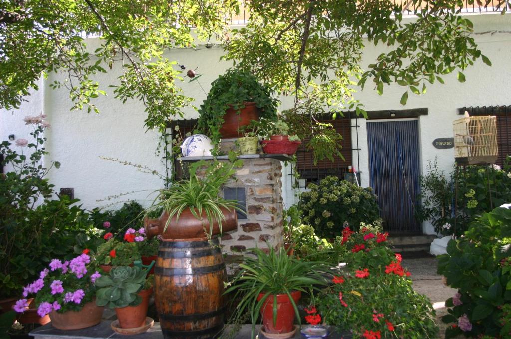 un jardín con macetas y flores frente a una casa en Apartamentos y Casas Rurales Las Terrazas de la Alpujarra, en Bubión