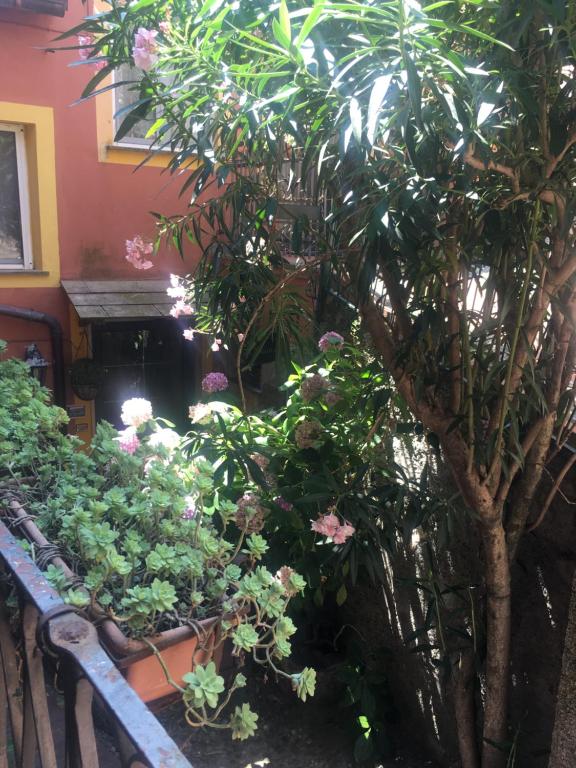 um jardim de flores e plantas num banco em Appartamento Fiordaliso em Montale