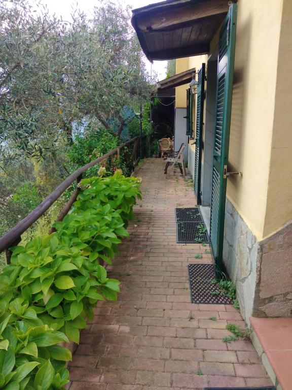 Zahrada ubytování Appartamento Azalea