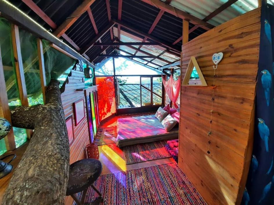  Mariri Jungle Lodge