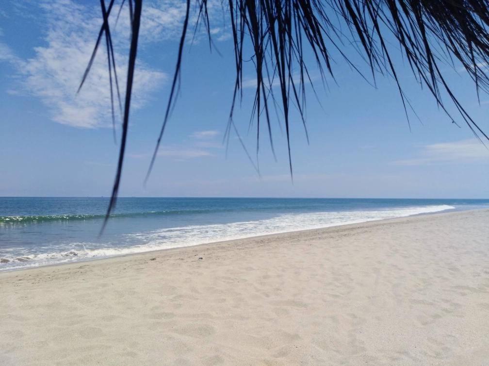 una playa con una palmera y el océano en Palmeras de Bocapan, Tumbes, en Zorritos