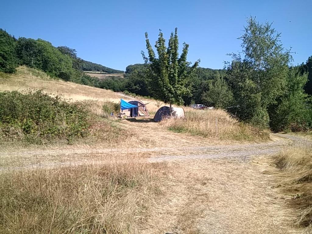 Příroda nedaleko luxury tent