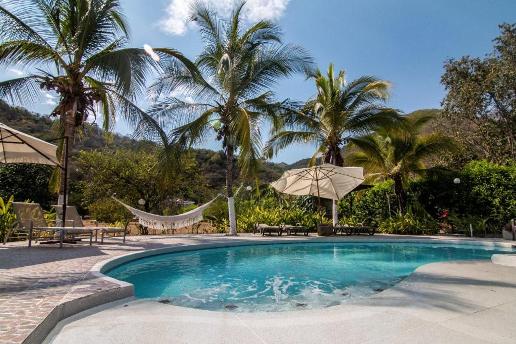 a swimming pool with palm trees and a hammock at FINCA YULUKA in Apulo