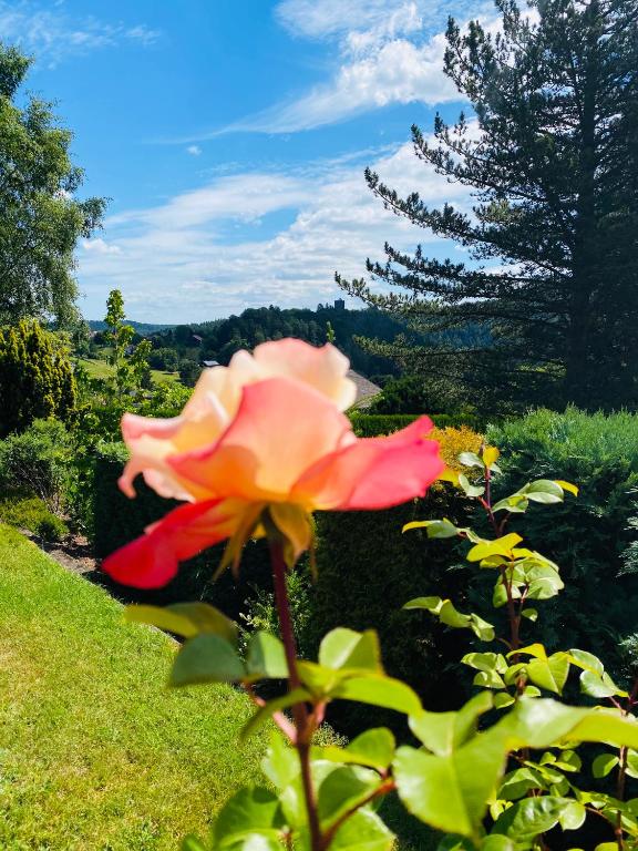 Giardino di L’hippocampe