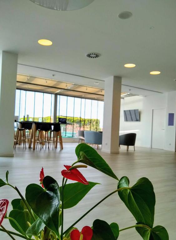 Augusta Barcelona Valles Granollers Updated 2021 Prices