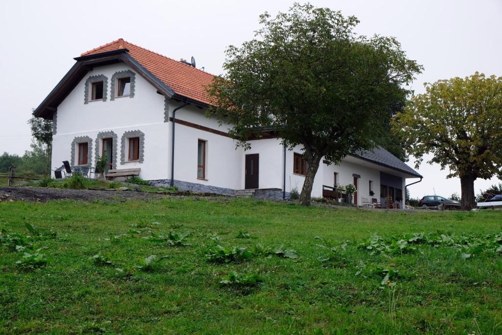 Zahrada ubytování Čenovický dvůr