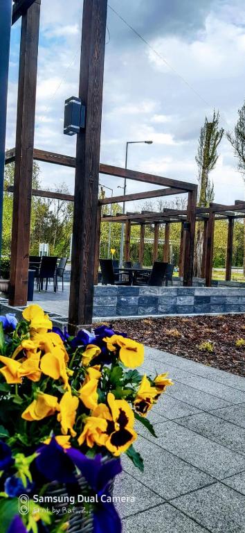 Hotel Amelia - Resim 15