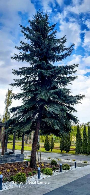 Hotel Amelia - Resim 14