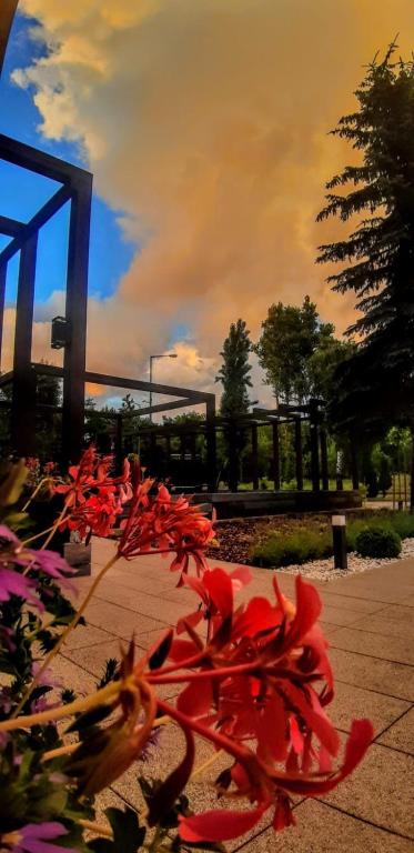 Hotel Amelia - Resim 10