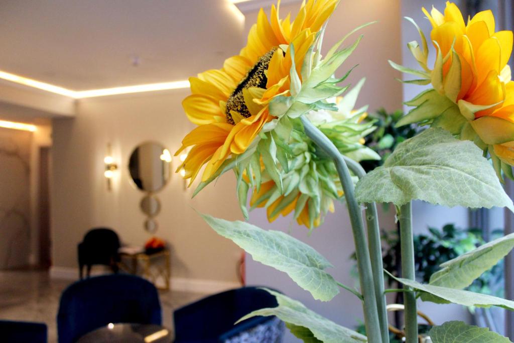 Foto dalla galleria di NOX Waterloo a Londra