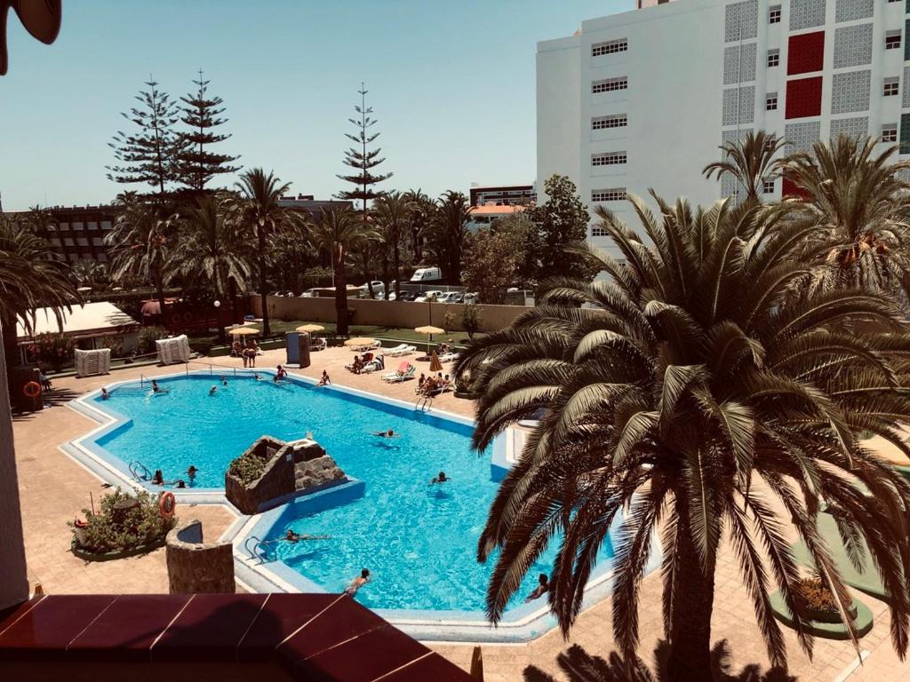una gran piscina con una palmera al lado en Casa AURORA-Agaete Parque - Playa del Inglés en San Bartolomé
