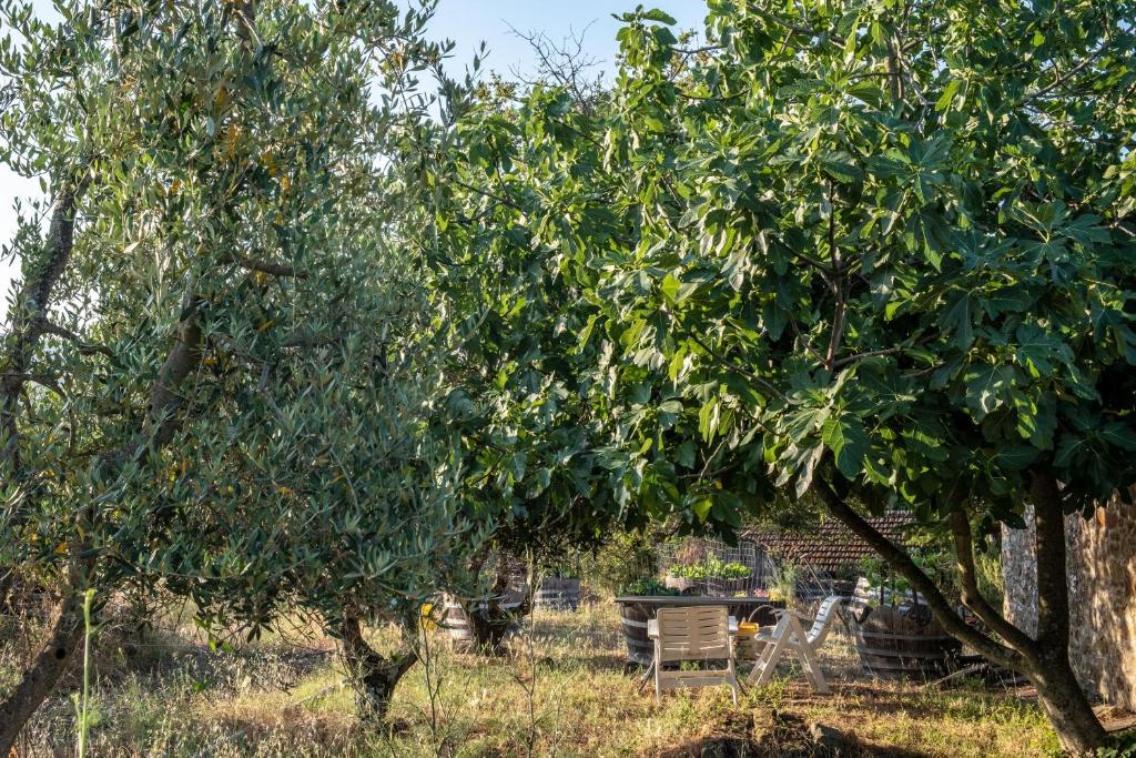Κήπος έξω από το Podere Pruneto