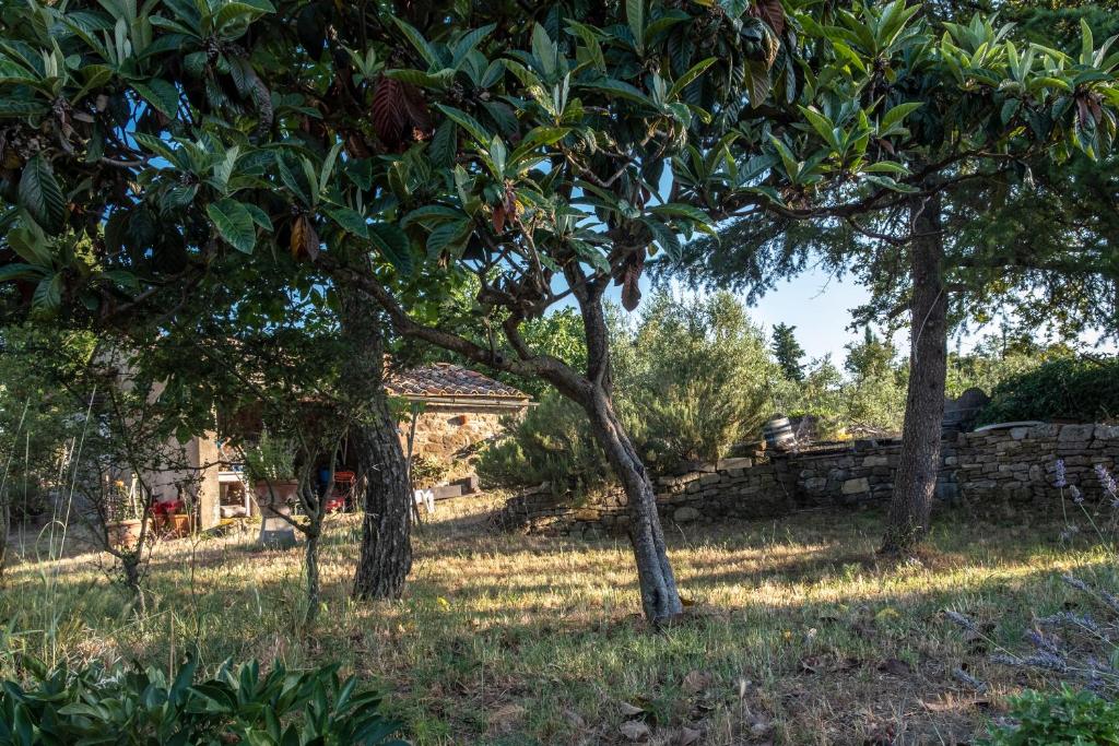 Κήπος έξω από το Podere Pruneto