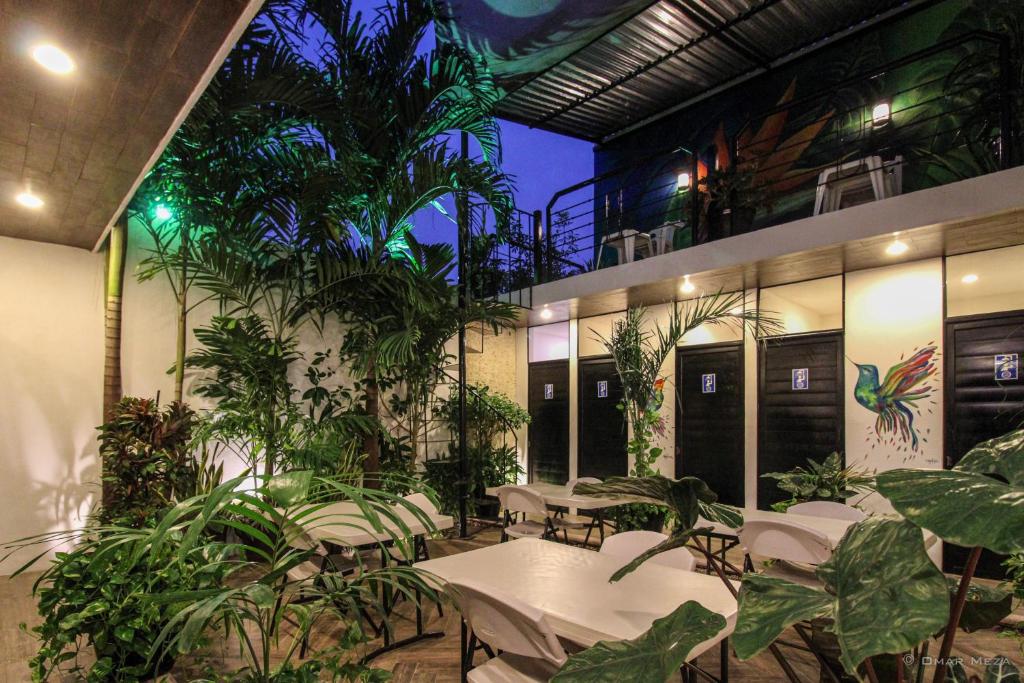 Zahrada ubytování Hostal Gayser