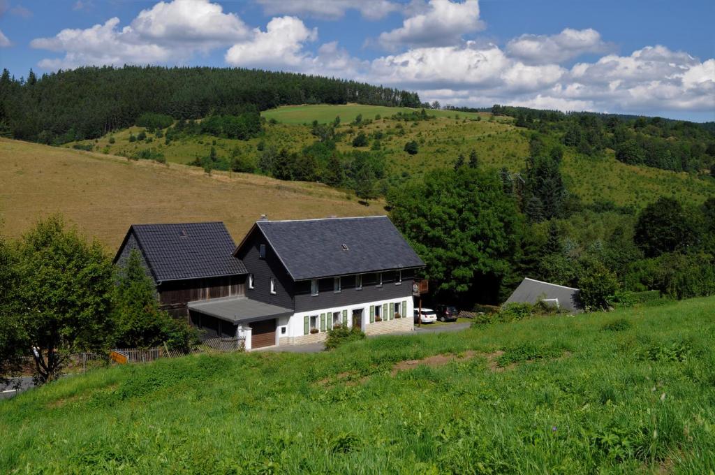 Příroda nedaleko penzionu