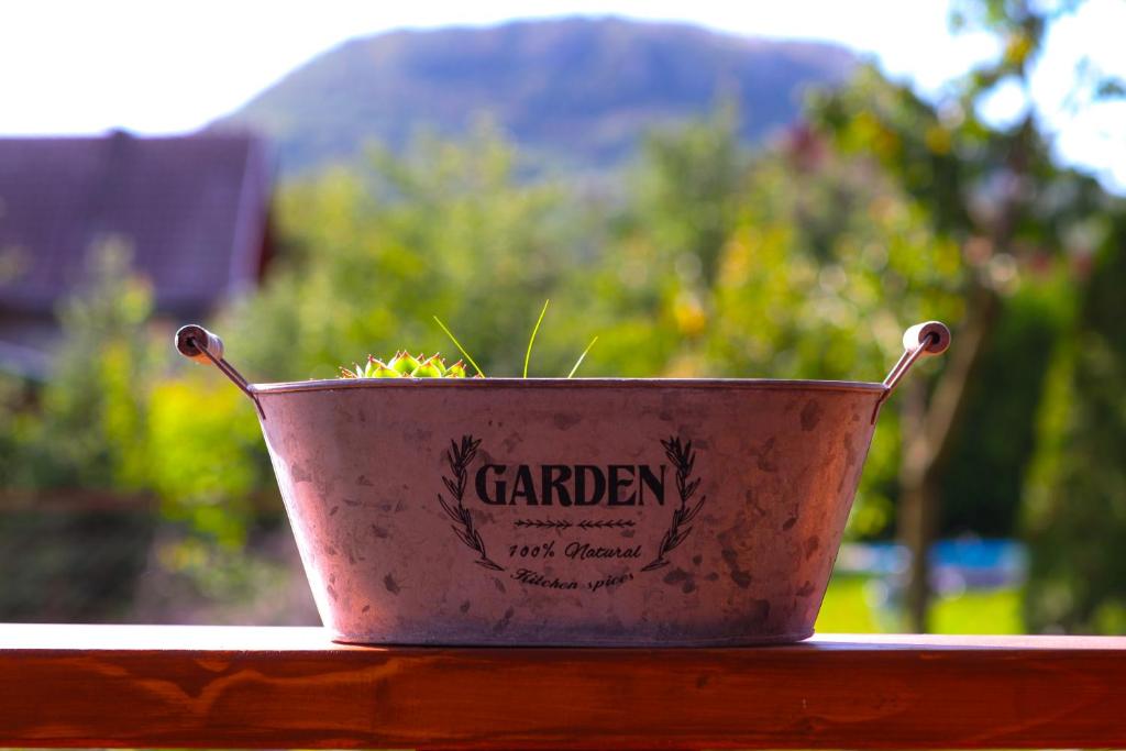 une plante dans un pot assise sur un rebord de fenêtre dans l'établissement NaposOldal Vendégház, à Tapolca