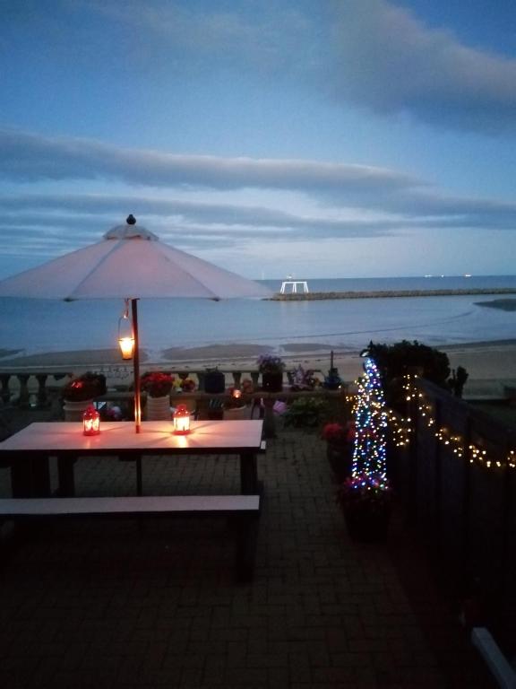 a picnic table with a christmas tree and an umbrella at Captains Lodge in Newbiggin-by-the-Sea
