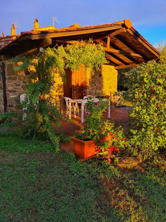 Zahrada ubytování Residence Lucignano