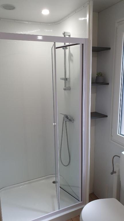 a shower with a glass door in a bathroom at Mobile Home Erna, Rovinj in Rovinj