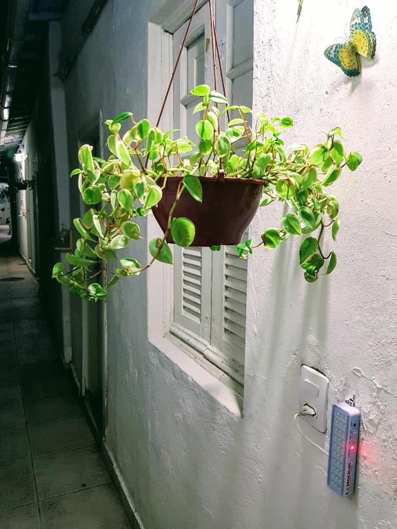 Fotografie z fotogalerie ubytování Sobrado Botafogo Guesthouse v destinaci Rio de Janeiro