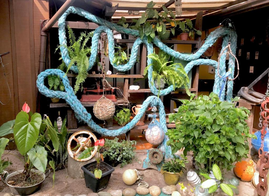 Um jardim em Pousada Bob Pai & Bob Filho