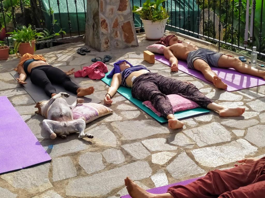 Rivendell Eco lodge - 12