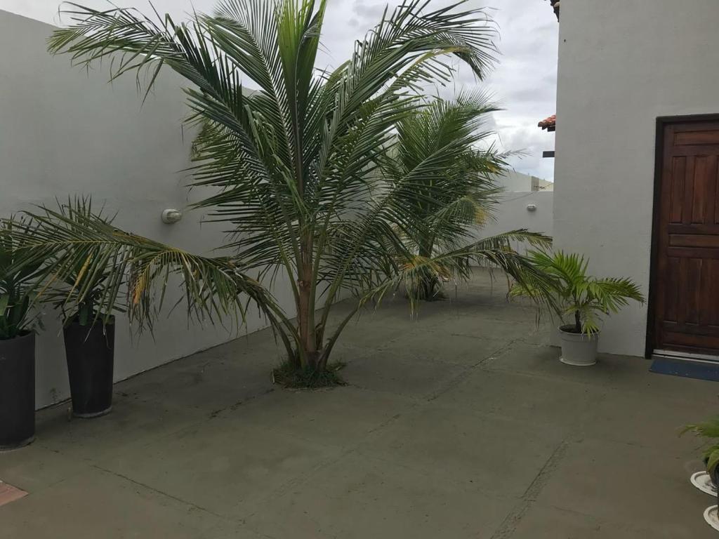  Casa Luis Correia aluguel