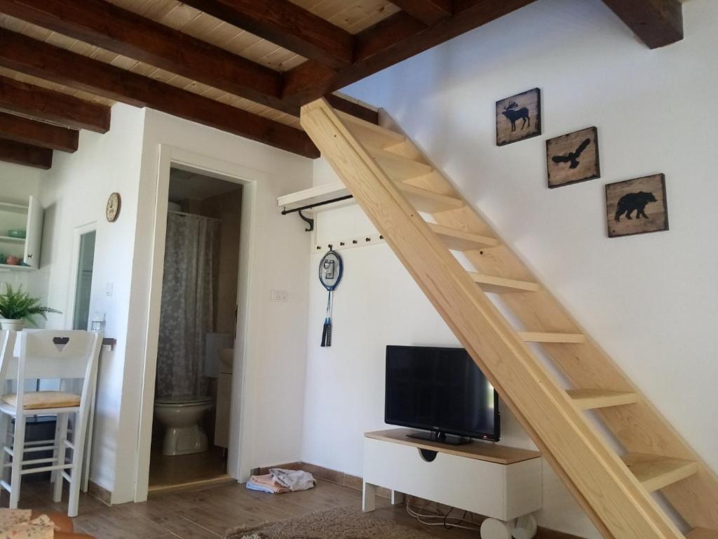 TV i/ili multimedijalni sistem u objektu Apartmani Jovanovic