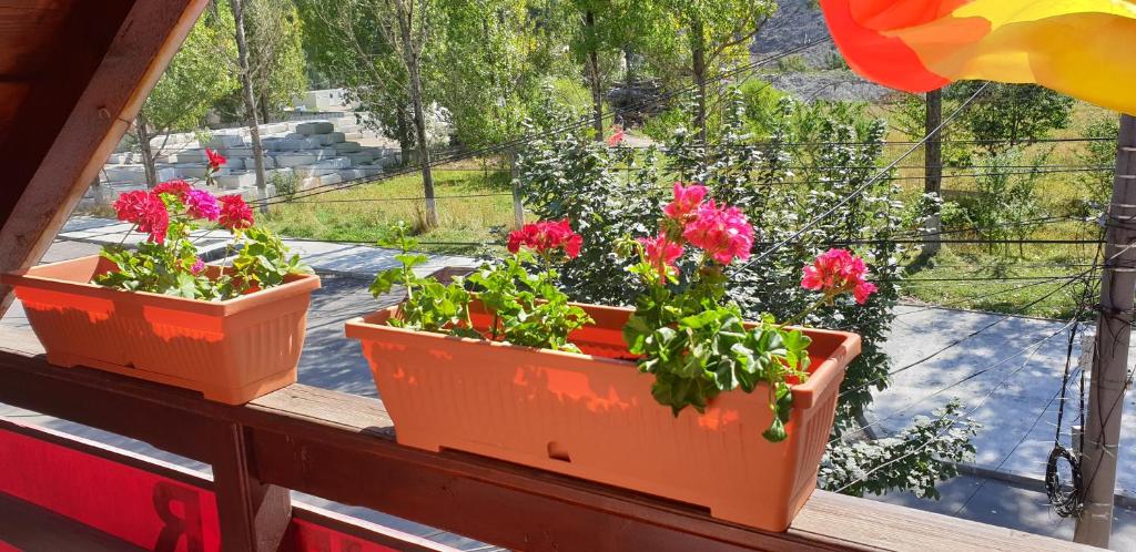 Tres flores en maceta sentadas en el alféizar de la ventana en VILA VALENCIA, en Azuga