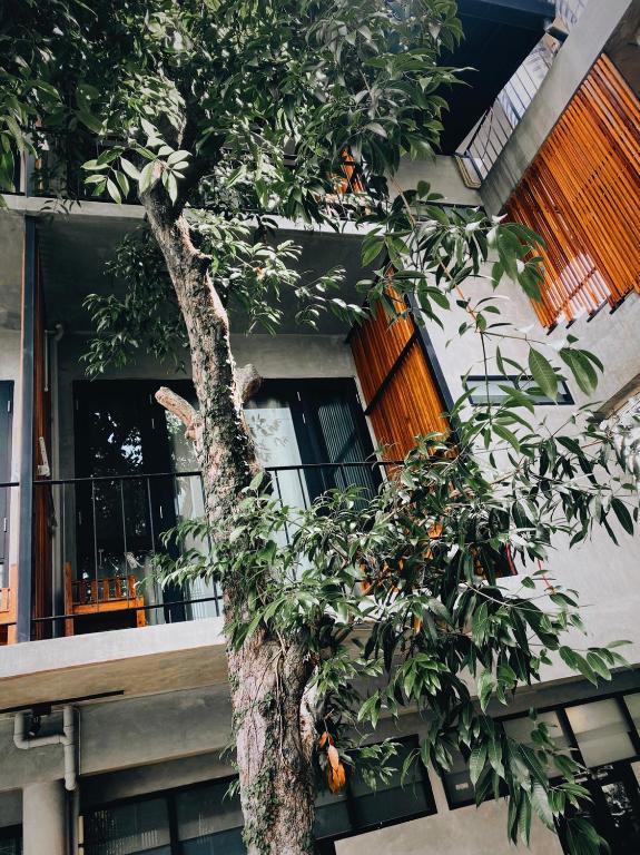 Lamphu House Chiang Mai - SHA Extra Plus Certified - Pièce Triple Supérieure Avec Vue Sur La Piscine