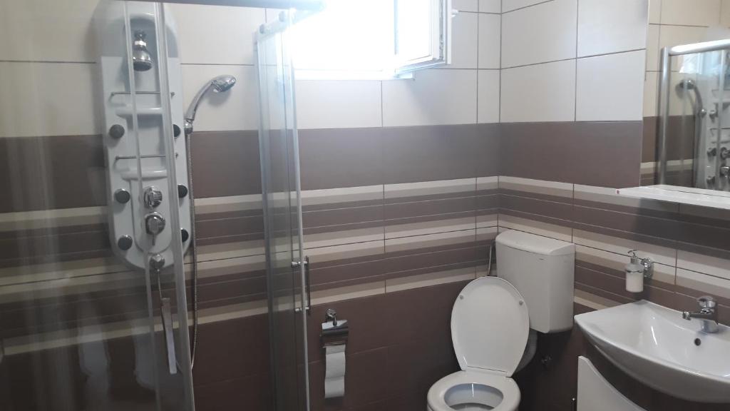 La salle de bains est pourvue d'une douche, de toilettes et d'un lavabo. dans l'établissement Andi Apartman, à Pačir