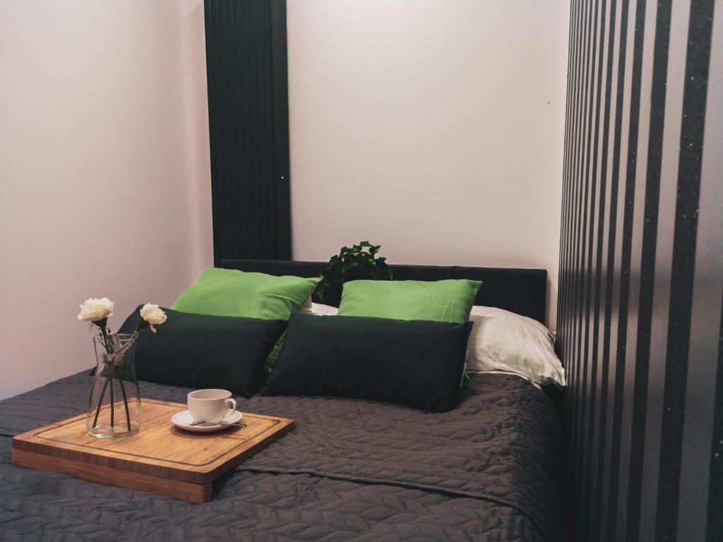 Apartamenty Dworcowa 45 - 
