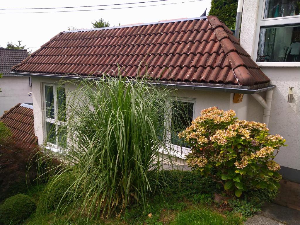 ein Haus mit rotem Kacheldach und einigen Pflanzen in der Unterkunft Ferienwohnung im Naturpark Rhein-Westerwald in Rengsdorf
