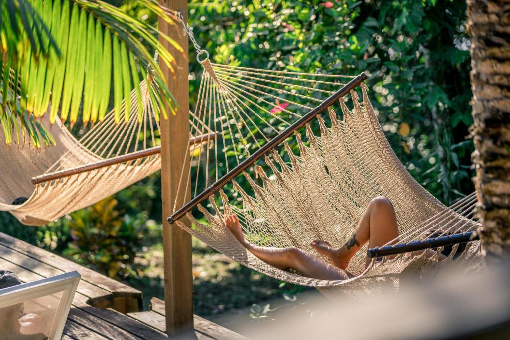 Gambar di galeri bagi Bambuda Lodge di Bocas Town