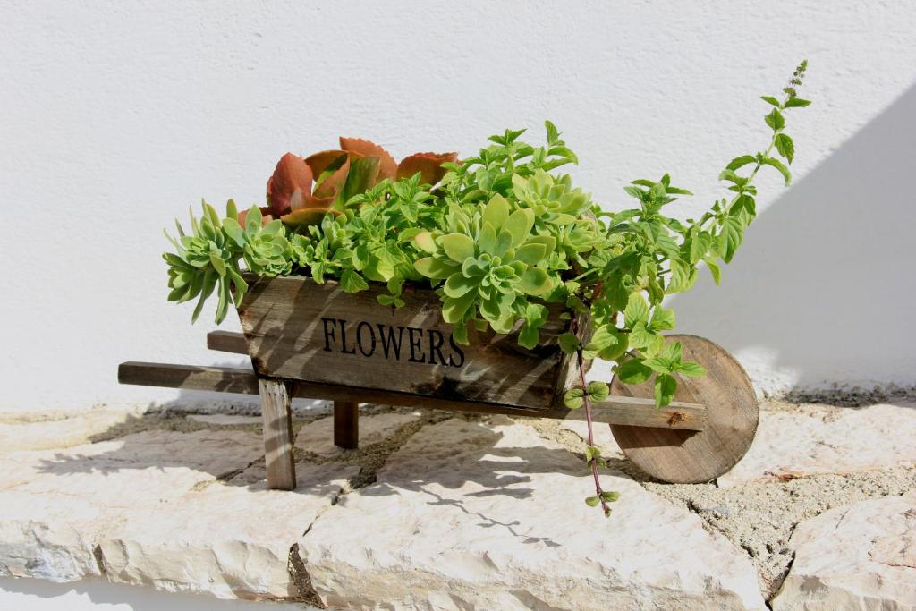 a wooden flower pot with flowers in it at Villa White in Ksamil