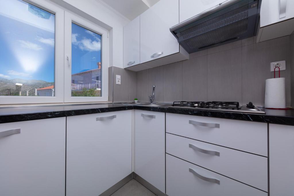 Kuchyňa alebo kuchynka v ubytovaní Apartment Ela