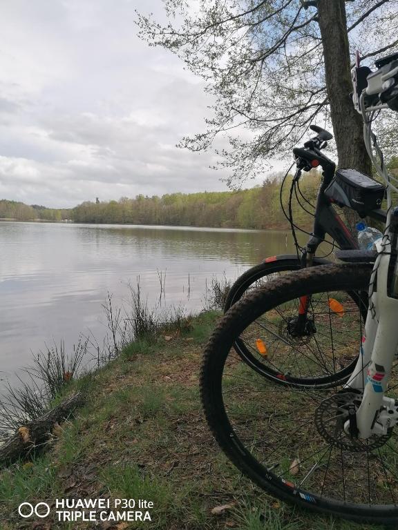 Przyroda w pobliżu tego apartamentu